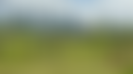 Kite Festival-The Big Picture