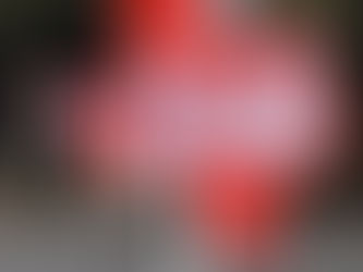 Chaps Notch Back to Back 52-34