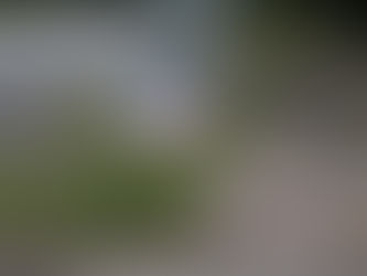 Westlake July 4th Parade This Sunday