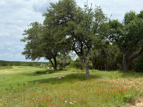 Fazio Canyons
