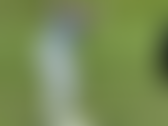 Dell Match Play 2023-Colin Morikawa