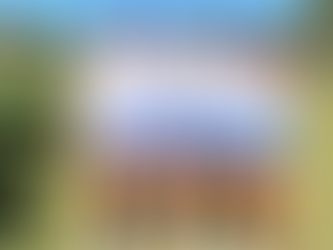 Chap Lady Linksters-Score A Top 5 at the Viper Classic at Delaware Springs GC