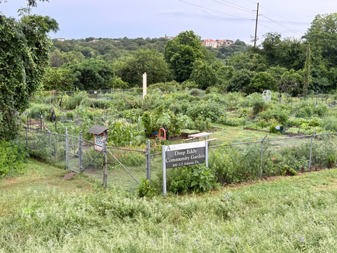 Deep Eddy Garden