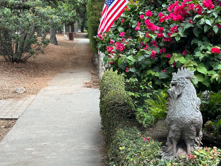 Ocean Avenue Carmel-By-The-Sea