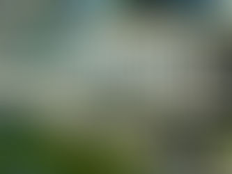 Shoal Creek Cityscape