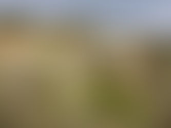 Home Above Barton Creek