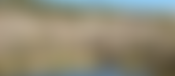 Last Window of Winter