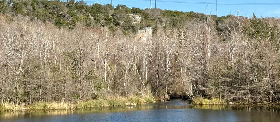 Last Window of Winter