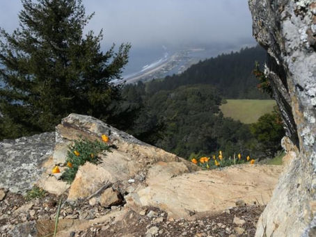From Mount Tamalpais
