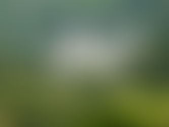 Property Taxes-Terms to Know