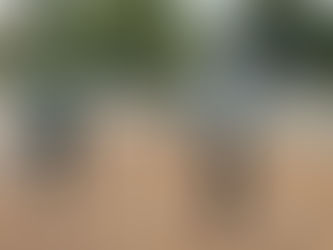 New On The Trail-Butler Exercise Equipment