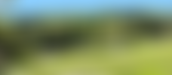 Spring Look Canyons Number 10