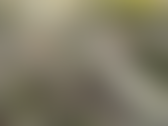 After the Rain, Barton Creek