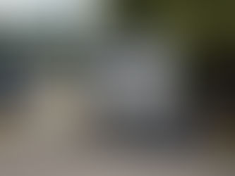 WELCOME BACK MUSTANGS ! YIPPEE !