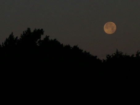 Around Austin-Full Moon Setting