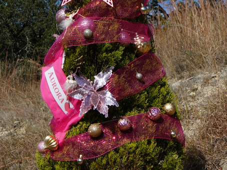 More "Tis the Season" RM2244&Lowell