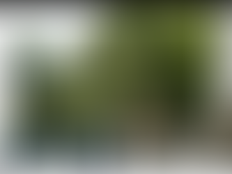 Window-Swap.Com Window Sill Views from Around the World. Check It Out, Submit Your Own.