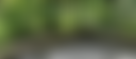 Portland Japanese Garden