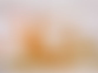 Bay Area Brine Ponds