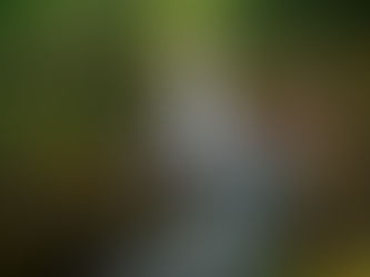 Mount Rainier National Park