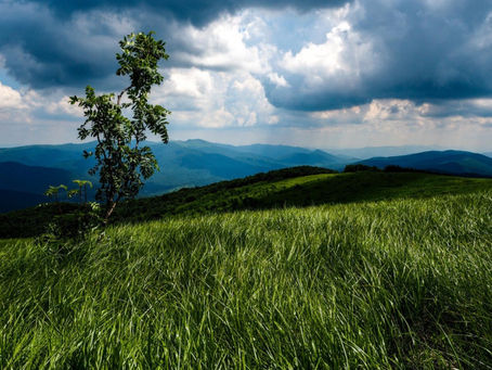 Bieszczady Mountains