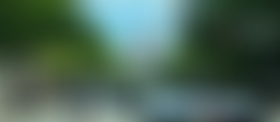 Congress Friday Morning