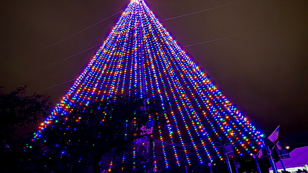 Zilker Holiday Tree