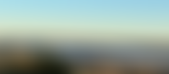 Fog Bank Along Lake Austin