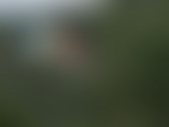 House in Westlake Hills