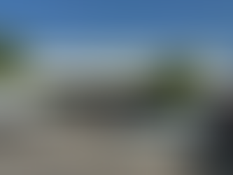 Saturday Evergreen Farmer's Market