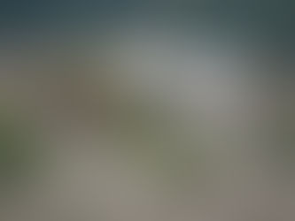 Home Above Barton Creek