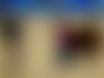 Rodeo Austin-The Winners