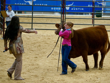 Rodeo Austin-The Winners