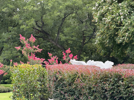 Summer Garden