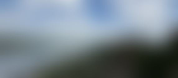 Memorial Weekend Lake LBJ