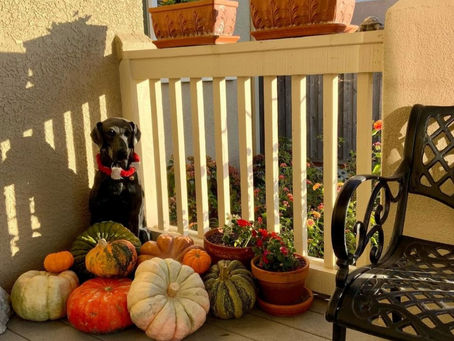Autumn Porch