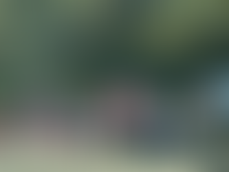 Presidential Campaign on RM2244