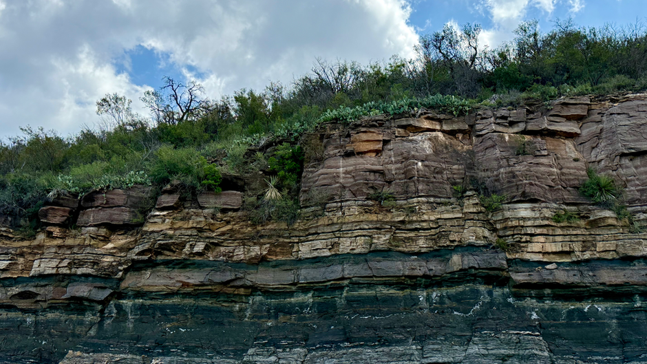 Granite Shoals Landscape
