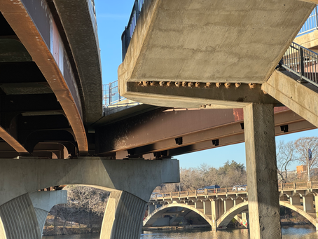 Mud Swallow Nests