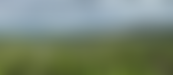 An Austin Hill Country View