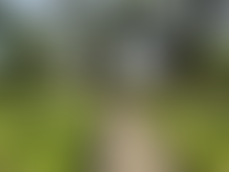 Historic Georgetown Home