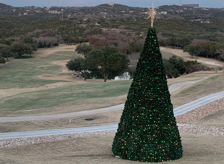Christmas Lights-Fazio Foothills