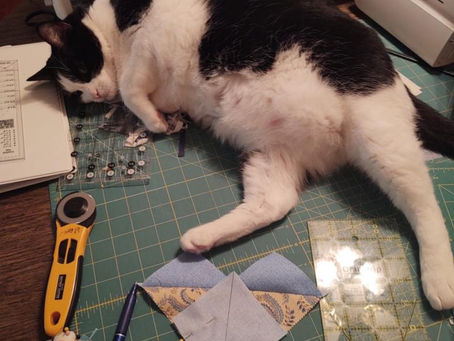 "Someone does not want me to sew today
