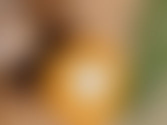 Life in Pictures: Coffee Pots and Mugs (by Karen Mielke)