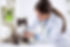 AdobeStock_107432576-scaled.jpeg