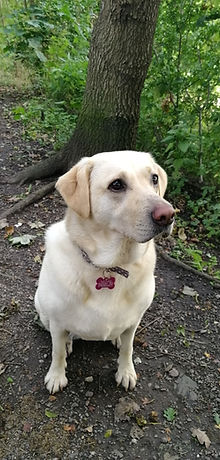 Lucie Loo Sitting