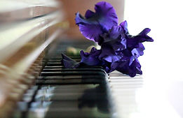 piano-756955_960_720.jpg