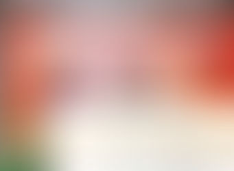 RSS ABKM 2016- Curtain Raiser Press Meet