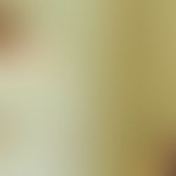 Bharat of Future - An RSS Perspective (Day 2)