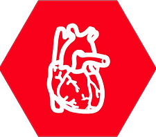 prpom-hexagon-s-icon.png